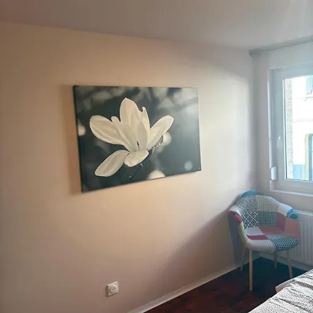 Apartman Splendide *